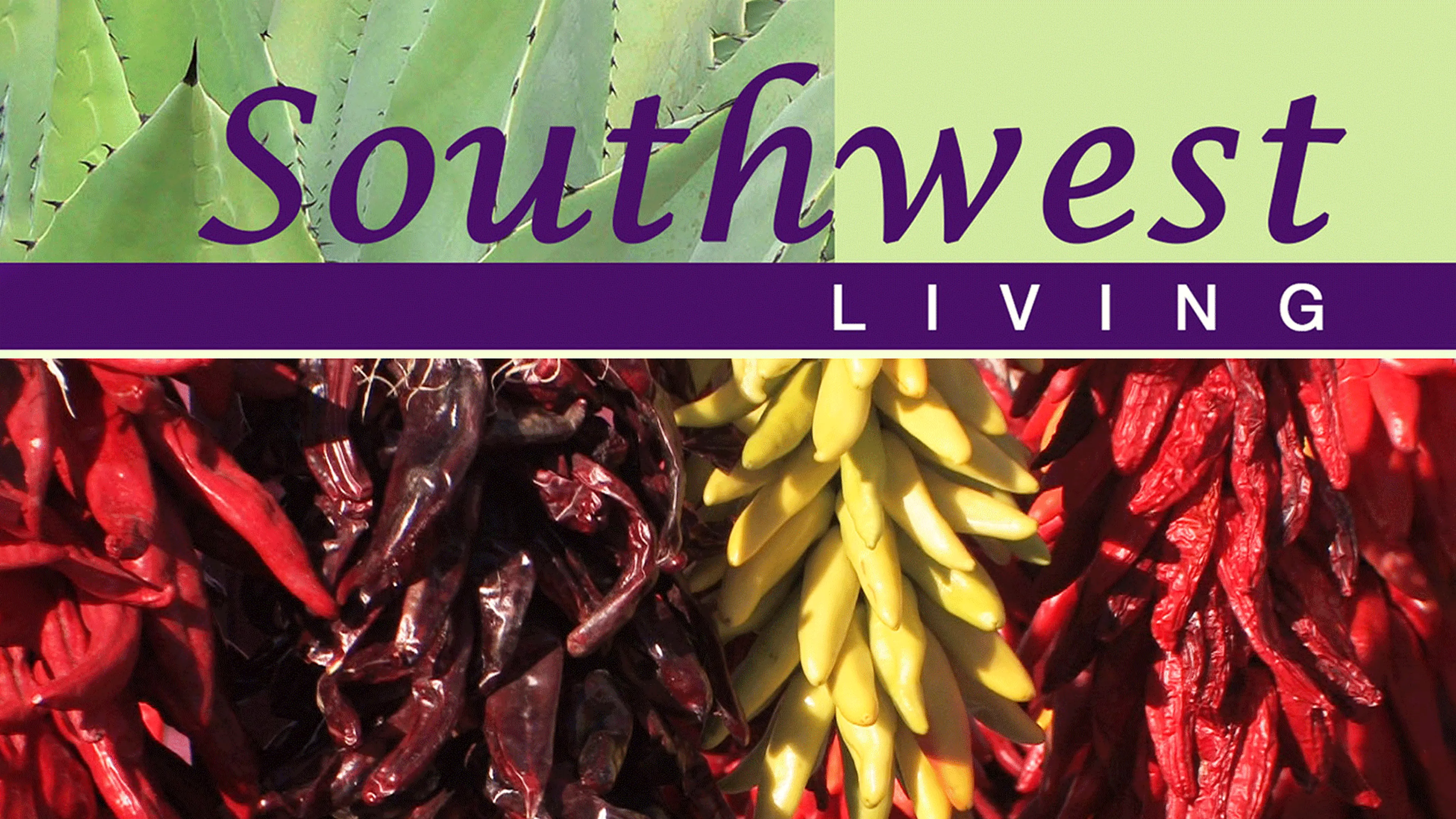 Southwest Living poster
